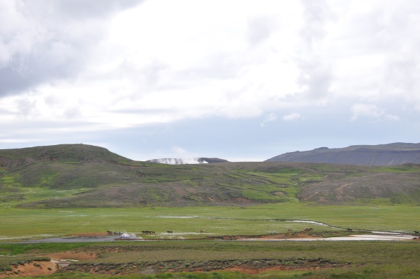 Landschap met paarden tijdens wandeling op zuidkust op wandelreis in IJsland