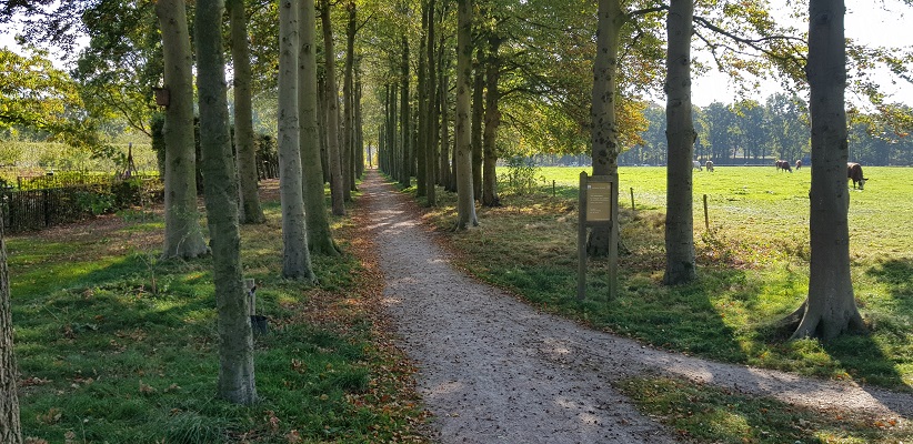 Wandelen over klompenpad Doesburgermolenpad