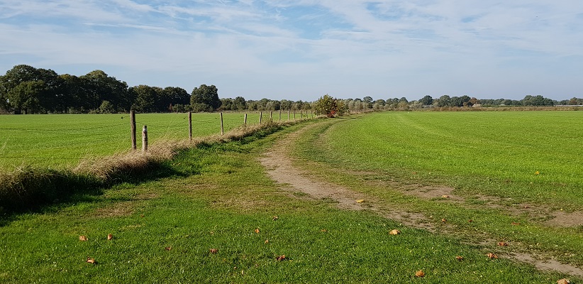 Wandelen over klompenpad Doesburgermolenpad over zandweg Doesburger Engweg