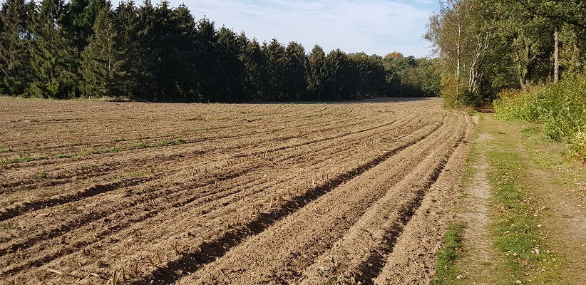 Wandelen over klompenpad Doesburgermolenpad langs geploegd land bij Ede