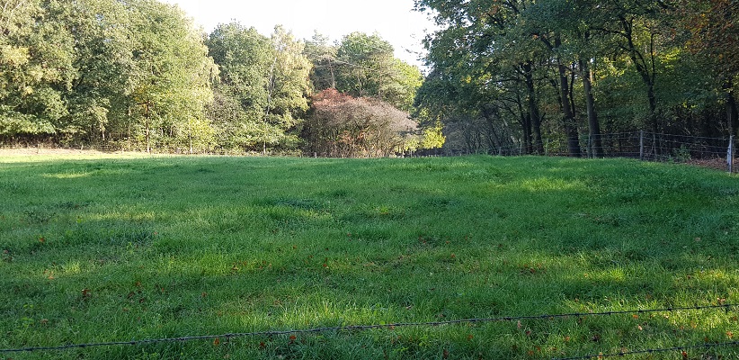 Wandelen over klompenpad Doesburgermolenpad door landgoed Kernhem