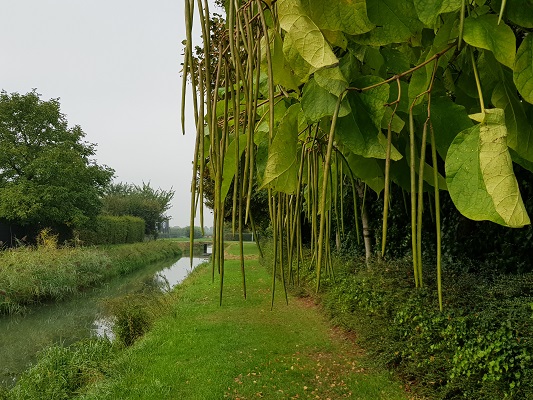 Wandelen over klompenpad Zandslagenpad in Hurwenen