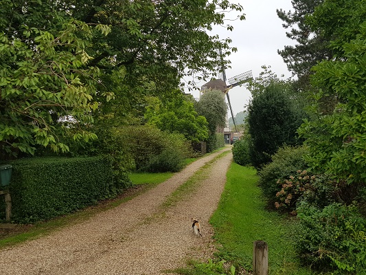Wandelen over klompenpad Zandslagenpad op pad naar Molen Vento Vivimus