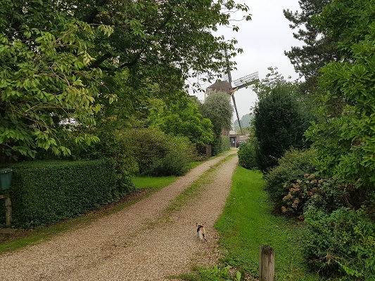 Wandelen over klompenpad Zandslagenpad op pad naar Molen Vento Vivimus