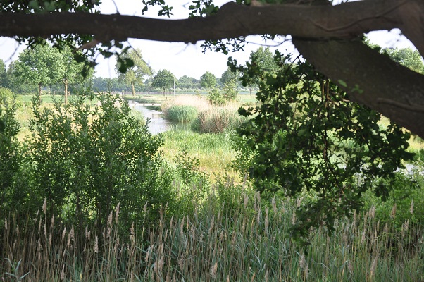 Doorkijkje naar nieuwe natuur tijdens wandeling langs riviertje de Leijgraaf van Boekel naar Middelrode