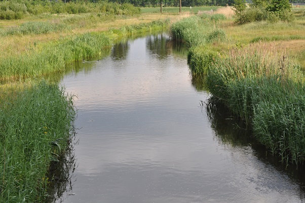 Natuur in Uden tijdens wandeling langs riviertje de Leijgraaf van Boekel naar Middelrode