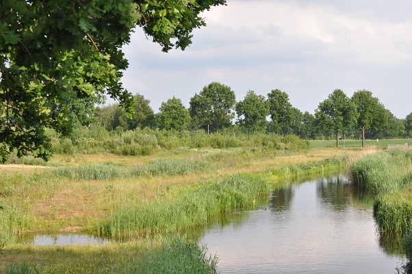Nieuwe natuur langs riviertje tijdens wandeling langs riviertje de Leijgraaf van Boekel naar Middelrode