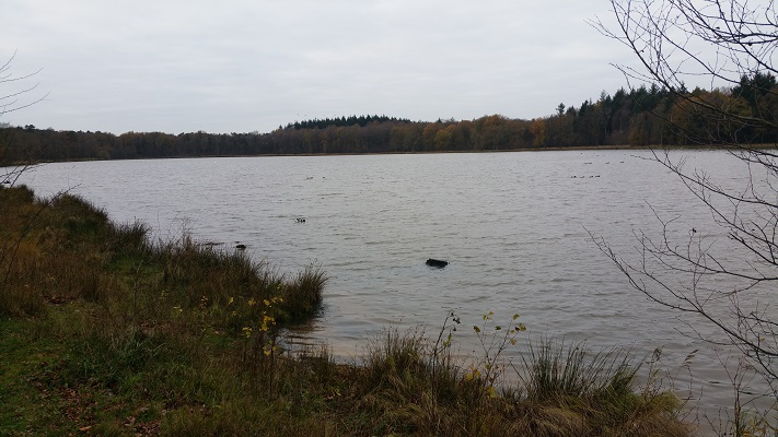 Venkoelen op wandeling over het Maaspad van Arcen naar Venlo
