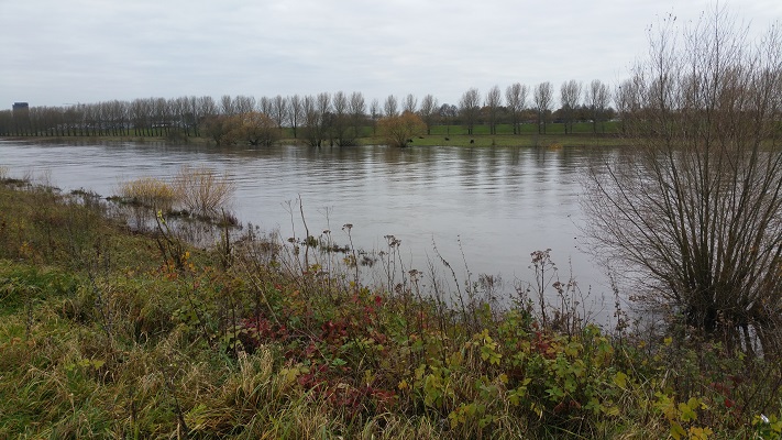 De Maas bij Venlo op wandeling over het Maaspad van Arcen naar Venlo