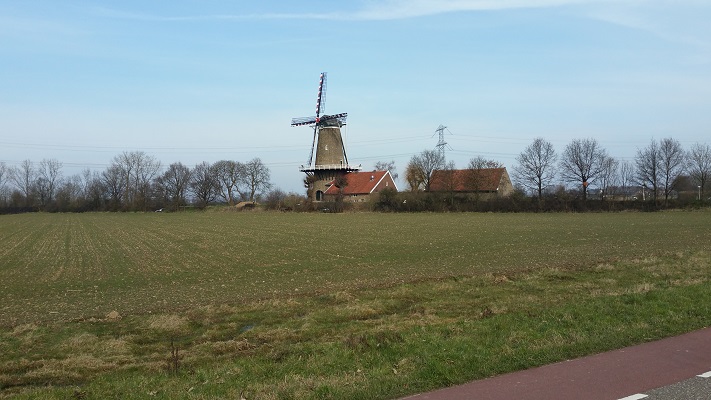 Molen Stevensweert op een wandeling over het Maaspad van Maaseik naar Maasbracht