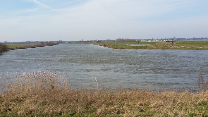 Grensmaas op een wandeling over het Maaspad van Maaseik naar Maasbracht