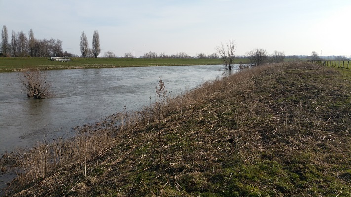 De Grensmaas op een wandeling over het Maaspad van Maaseik naar Maasbracht