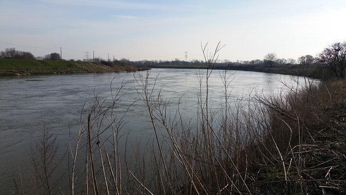 De Grensmaas op een wandeling over het Maaspad van Maaseik naar Maasbracht