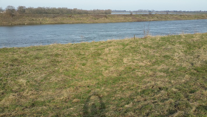 De Grensmaas op een wandeling over het Maaspad van Maaseik naar Maasbracht