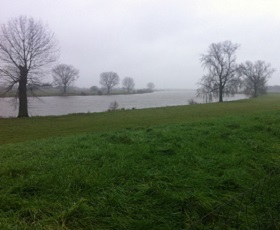 De Maas bij Ravenstein op een wandeling over het Maaspad van Ravenstein naar Grave