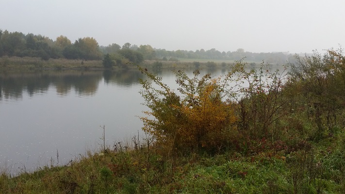 De Maas op een wandeling over het Maaspad van Reuver naar Venlo