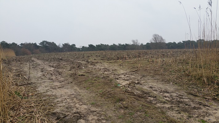 Wandelen over het Marikenpad bij oude vuilstort in Rosmalen