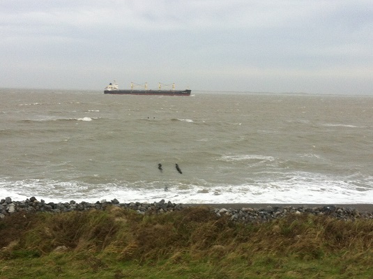 Noordzee met scheepvaart op een wandeling over het Nederlands Kustpad van Cadzand naar Breskens