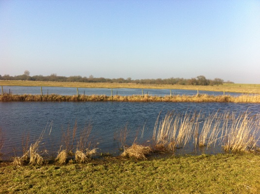 Slikken van Flakkee tijdens een wandeling over het Nederlands Kustpad van Goedereede naar de Philipsdam