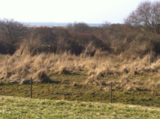 Slikken van Flakkee tijdens een wandeling over het Nederlands Kustpad van Goedereede naar de Philipsdam