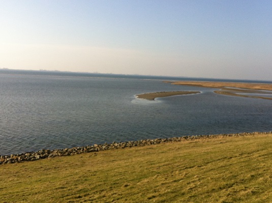Grevelingen tijdens een wandeling over het Nederlands Kustpad van Goedereede naar de Philipsdam