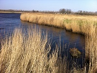 Oude Veer op een wandeling over het Nederlands Kustpad van Callantsoog naar Anna Paulowna