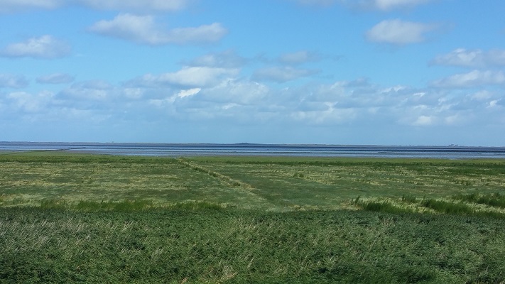 Waddenzee op een wandeling over het Nederlands Kustpad van Holwerd naar Lauwersoog