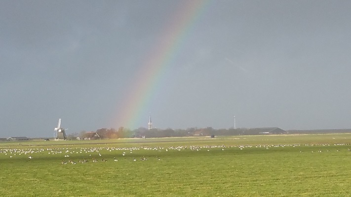 Regenboog boven Pingjum tijdens een wandeling over het Nederlands Kustpad van Makkum naar Harlingen