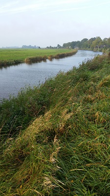Mensingweersterloopdiep op een wandeling over het Nederlands Kustpad van Winsum via Leens naar Eenrum