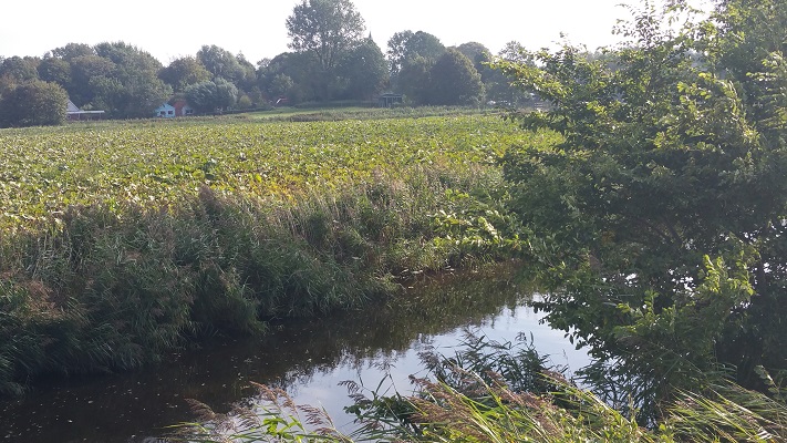 Kromme Raken op een wandeling over het Nederlands Kustpad van Winsum via Leens naar Eenrum