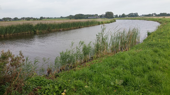 Warfhuisterloopdiep op een wandeling over het Nederlands Kustpad van Winsum via Leens naar Eenrum