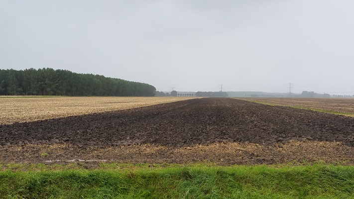 Akkerland op wandeling over het Noaberpad van Bad Nieuweschans naar Bellingwolde