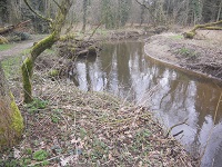 Het Woold bij een wandeling over het Noaberpad van Bocholt naar Winterswijk