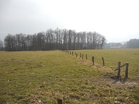 Paaschberg tijdens een wandeling over het Noaberpad van De Hooge Lutte naar Ootmarsum
