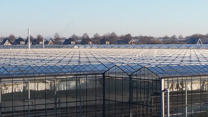 Kassengebied tijdens wandeling van Halfweg naar Amsterdam over het Noord-Hollandpad