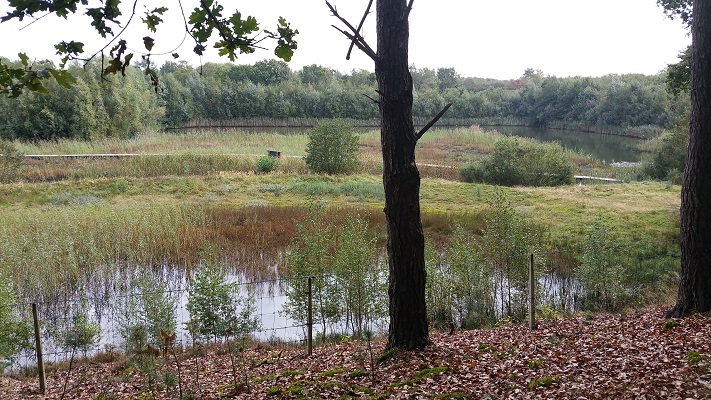 Spandersbosch tijdens wandeling van Huizen naar 's-Graveland over het Noord-Hollandpad