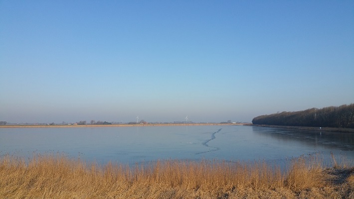 Vishoek tijdens wandeling van Kolhorn naar Julianapolder op Noord-Hollandpad