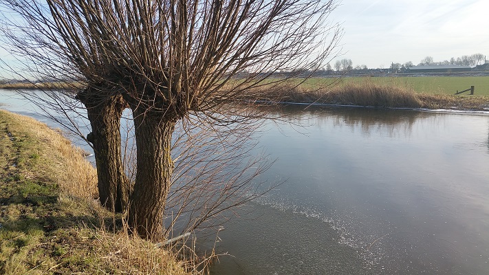Ringsloot van de Berkmeer in Obdam tijdens wandeling van Kolhorn naar Obdam op Noord-Hollandpad