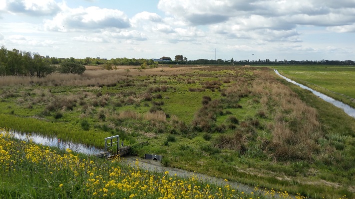 Batterij en Spaarnwouderveen tijdens wandeling van Pont Buitenhuizen naar Halfweg over het Noord-Hollandpad