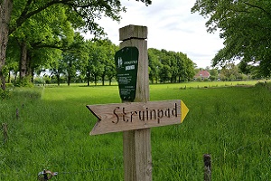 Wandelen over het Oudste Wandelpad van Nederland bij struimpad bij Rhenen
