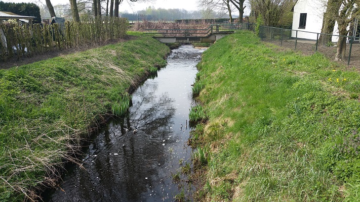 Wandelen over het Peelpad langs de Kabroekse Beek in America