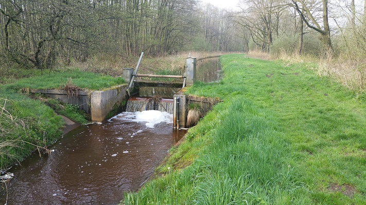 Wandelen over het Peelpad langs de Lollebeek