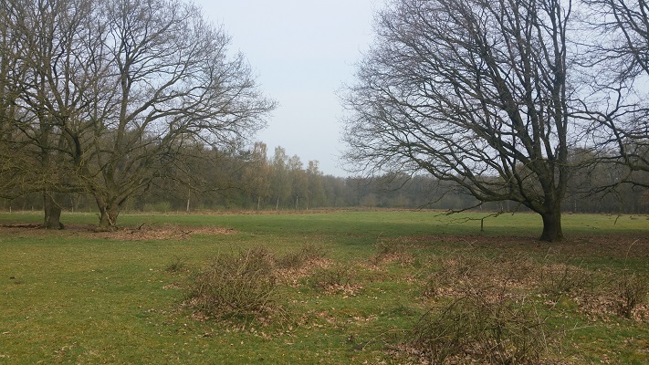 Wandelen over het Peelpad bij Castenray