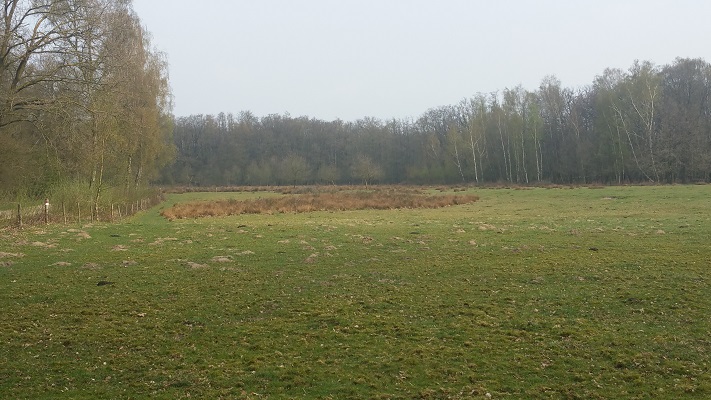 Wandelen over het Peelpad bij Castenray