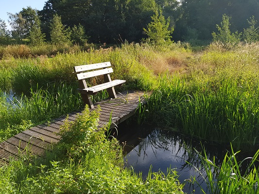Wandelen over het Peelpad bij een vlonder over de Molenbeek
