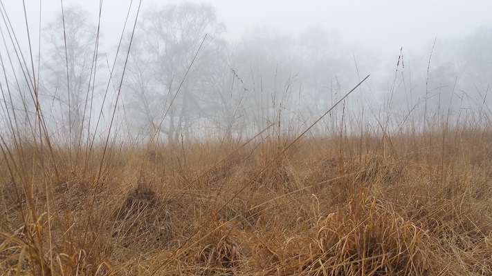 Wandelen over het Peelpad in het Zinkske