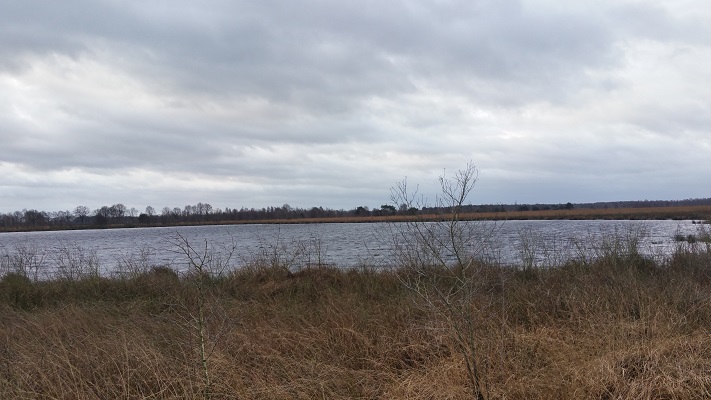 Wandelen over het Peelpad in De Groote Peel