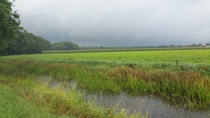 Wandelen over het Peerkepad met een onweerswolk boven Vessem