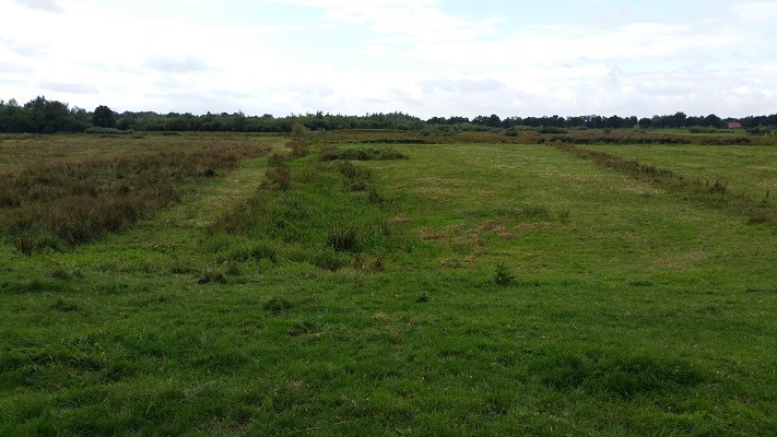 Wandelen over het Peerkepad bij riviertje de Rosep