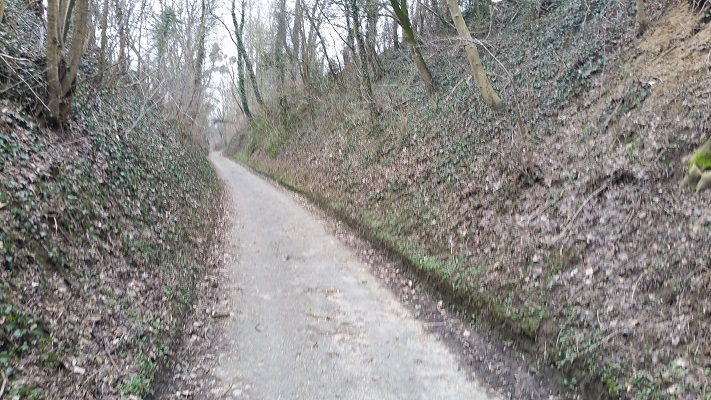 Wandelen over het Peerkepad in de voetsporen van Peerke Donders op holle weg in Broekhoven